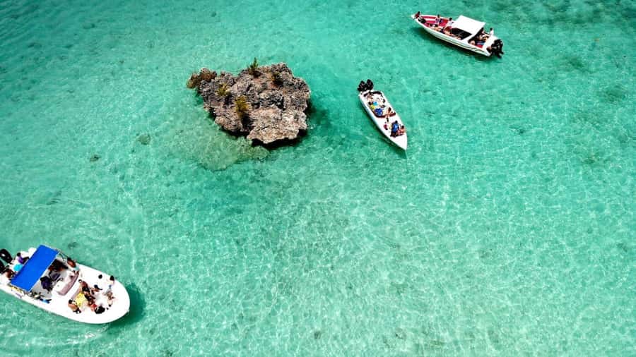 Mauritius: Ocean Swim with Dolphins - What $93 includes, and what it does not