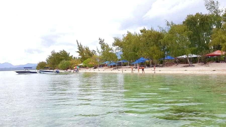 Mauritius: Ocean Swim with Dolphins - Practical advice for a smoother day