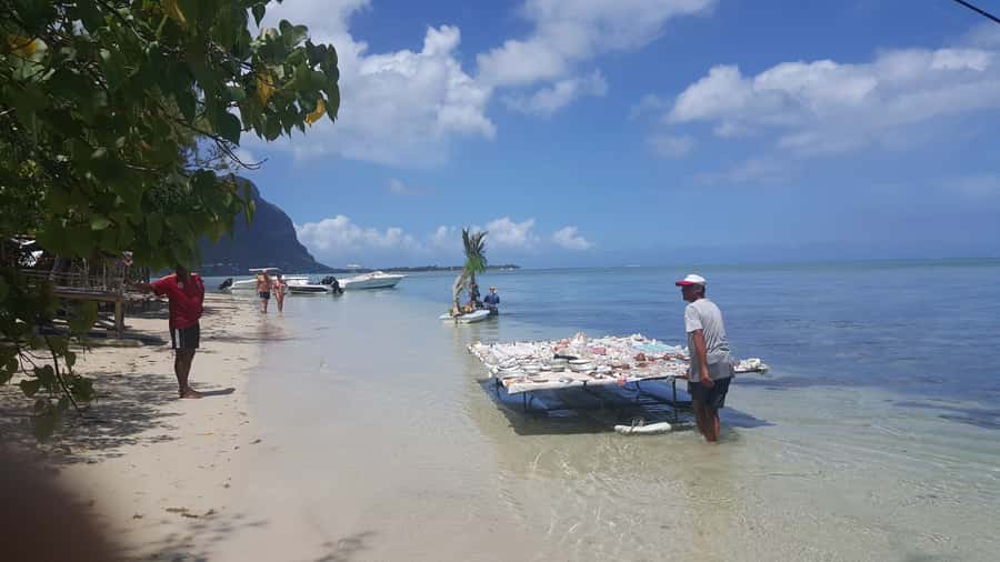 Mauritius: Ocean Swim with Dolphins - Who will enjoy this Mauritius boat trip