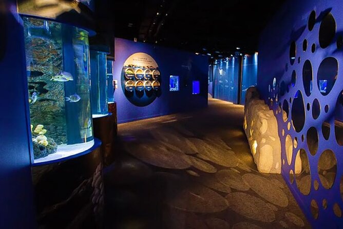 Mauritius Odysseo Oceanarium in Port Louis - A harbourfront window into the Indian Ocean
