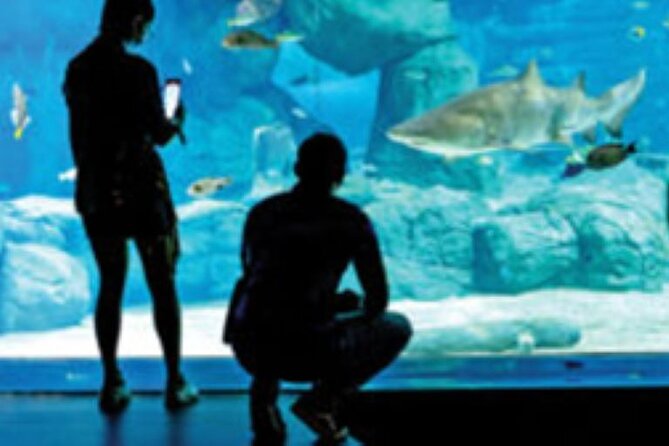 Mauritius Odysseo Oceanarium in Port Louis - Is $42 a fair price?