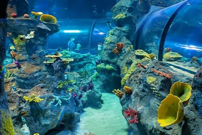 Mauritius Odysseo Oceanarium in Port Louis - A good stop for families with small children