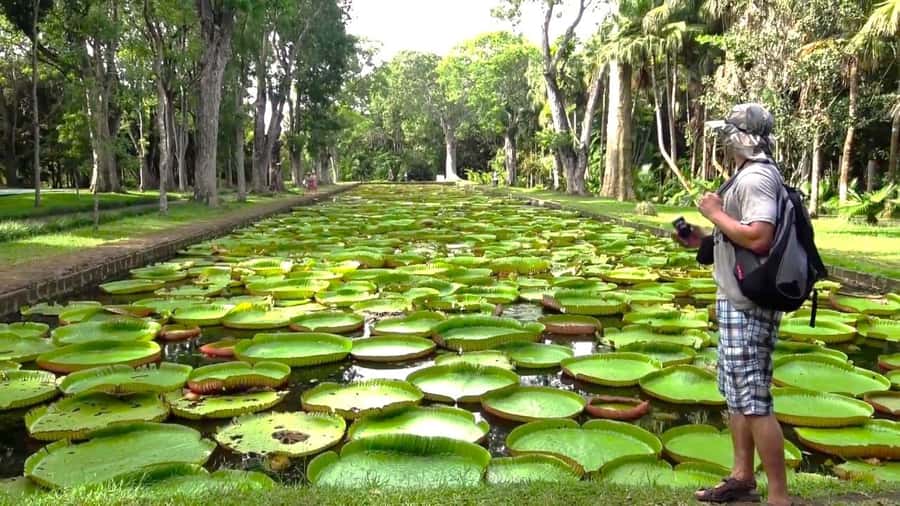 Mauritius: Port Louis and Northern Highlights Full-Day Trip - Why this full-day route works