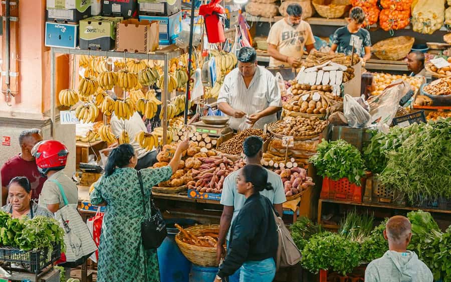Mauritius: Port Louis and Northern Highlights Full-Day Trip - Port Louis Central Market is the day’s most local hour