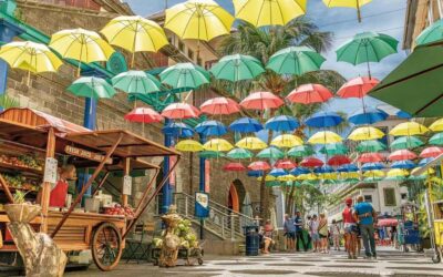 Port Louis and Northern Highlights Full-Day Trip