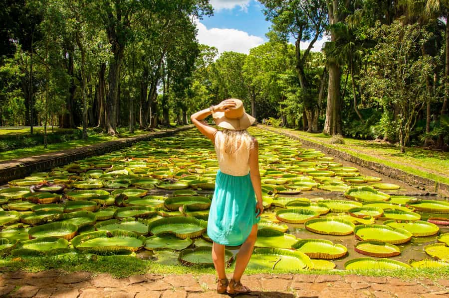 Mauritius: Private Full-Day Iconic Instagram Spots - Key points at a glance