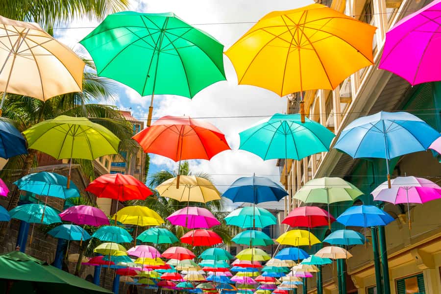 Mauritius: Private Full-Day Iconic Instagram Spots - Pamplemousses Botanical Garden and its rare palm