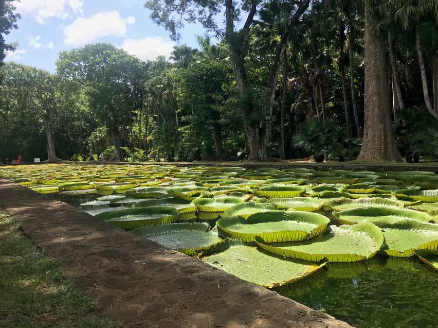 Mauritius: Private Full-Day Iconic Instagram Spots - Seven Colored Earth in Chamarel