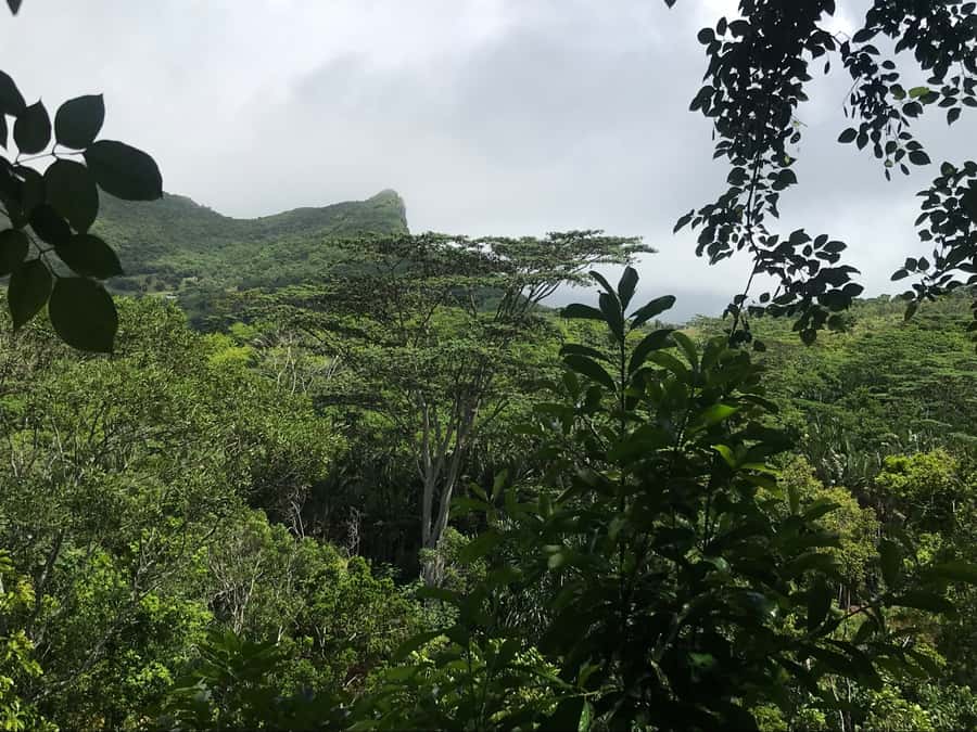 Mauritius: Private Full-Day Iconic Instagram Spots - Timing, comfort, and practical planning