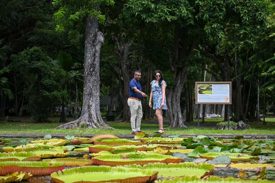 Mauritius: Private Full-Day North Mauritius Tour - SSR Botanical Garden: a calm break in Pamplemousses