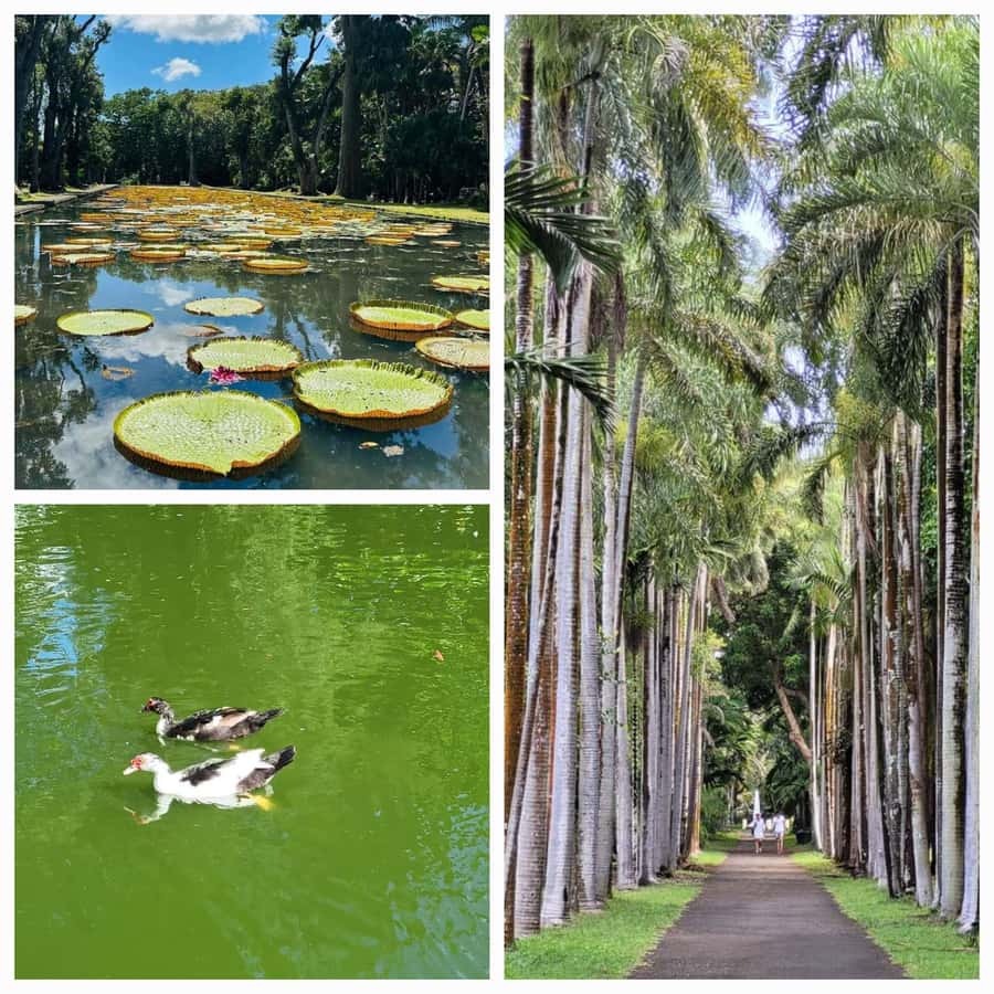 Mauritius: Private Full-Day North Tours - Fort Adelaide gives you the Port Louis view