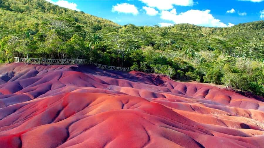 Mauritius: Private Full-Day South Mauritius Tour - Trou aux Cerfs and the Curepipe highlands