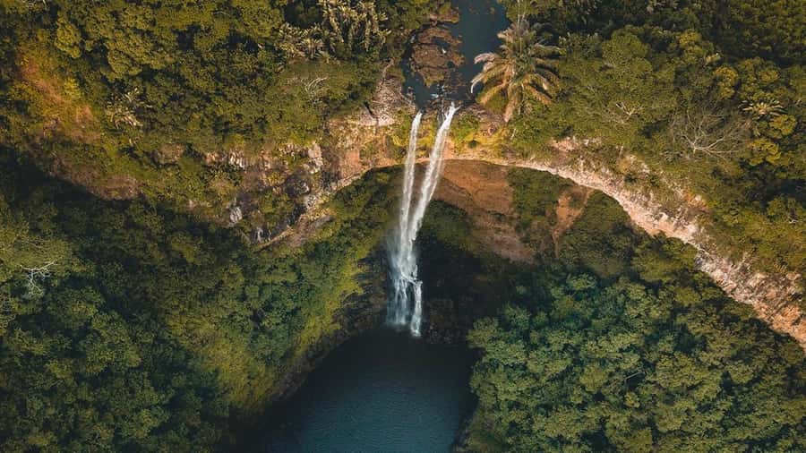 Mauritius: Private Full-Day South Mauritius Tour - Black River Gorges and Alexandra Falls