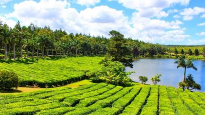 Private Full-Day South Mauritius Tour