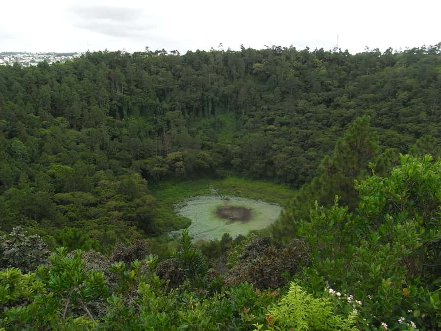 Mauritius: Private Full Day Tour with Entry Tickets & Lunch - Alexandra Falls and the short forest walk