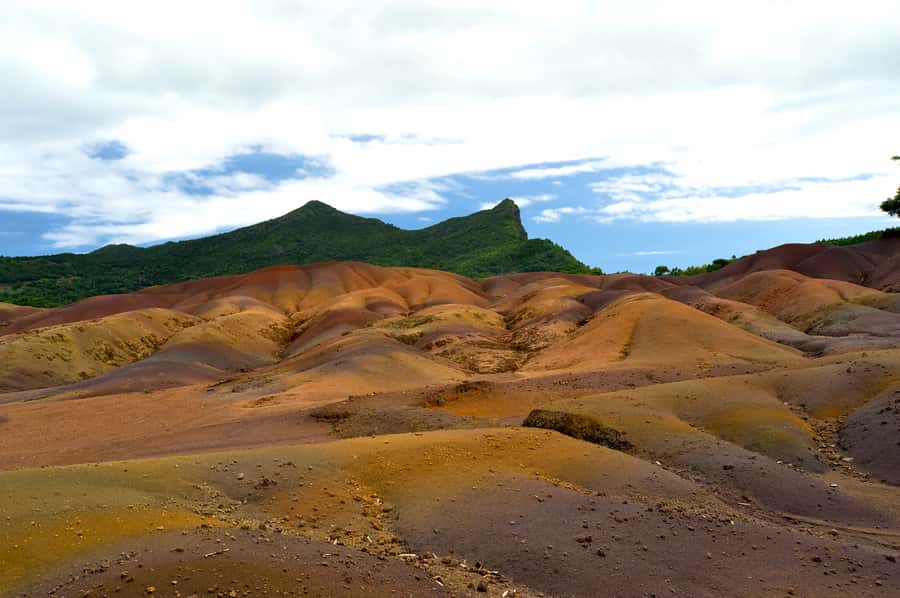 Mauritius: Private Full Day Tour with Entry Tickets & Lunch - The road works problem you should understand