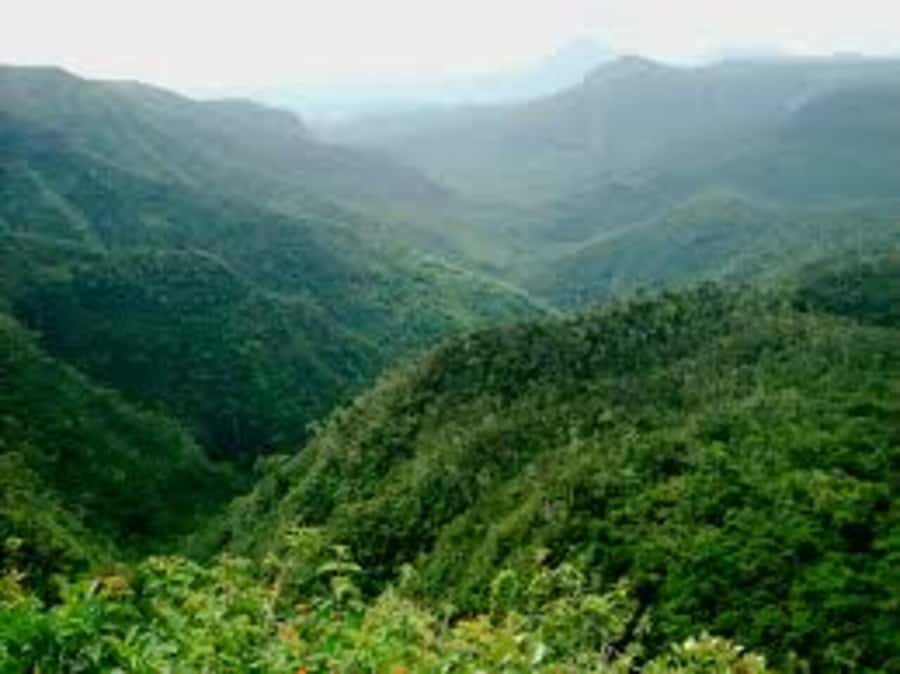 Mauritius: Private Guided South Tour with Pickup - Black River Gorges and the Alexandra Falls viewpoint