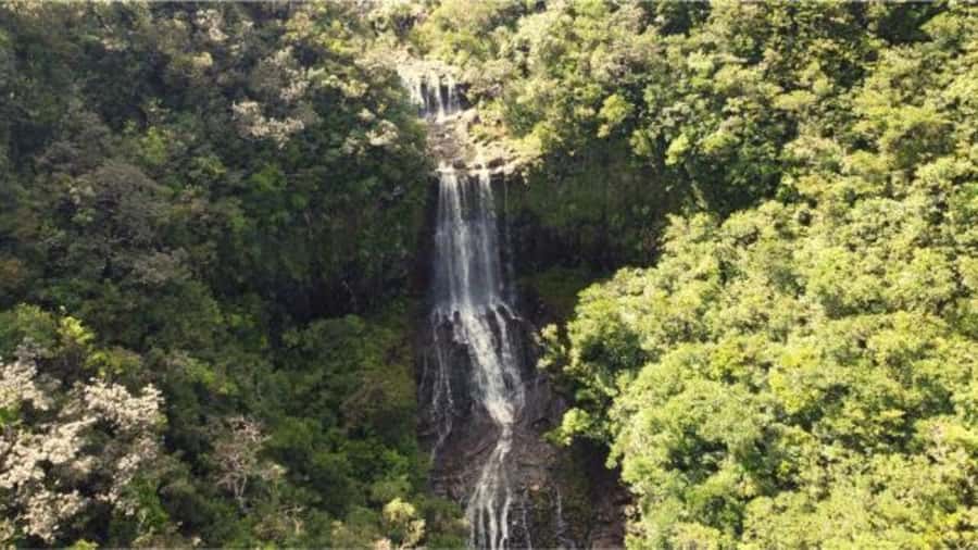 Mauritius: Private Guided South Tour with Pickup - Who will enjoy this south tour most