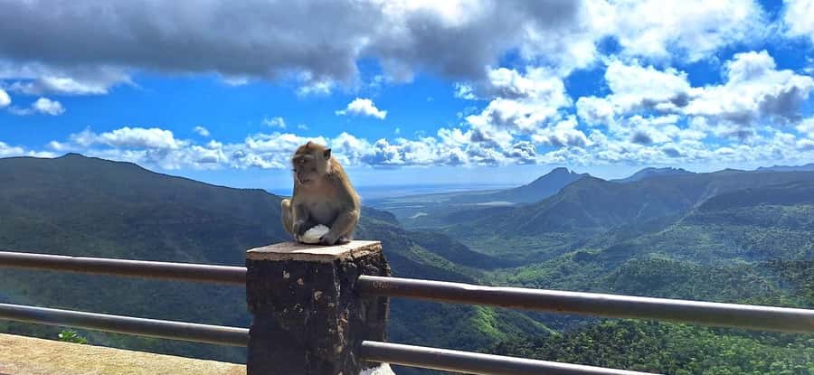 Mauritius: Private South Day Tour with Hotel Transfer - Grand Bassin and the Hindu heart of the island