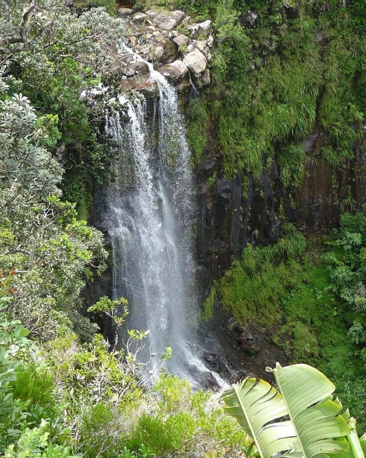 Mauritius: Private South Day Tour with Hotel Transfer - Alexandra Falls and the Black River Gorges viewpoint