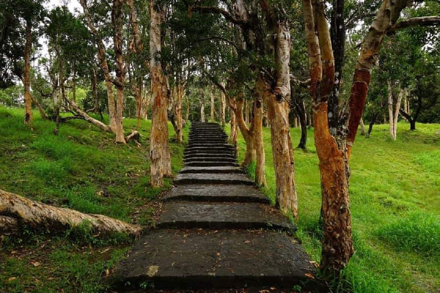 Mauritius: Private South Day Tour with Hotel Transfer - What the private vehicle and guide mean in practice