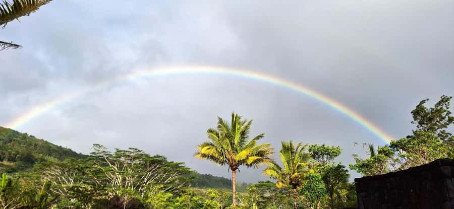 Mauritius: Private South Day Tour with Hotel Transfer - Who should book this day tour