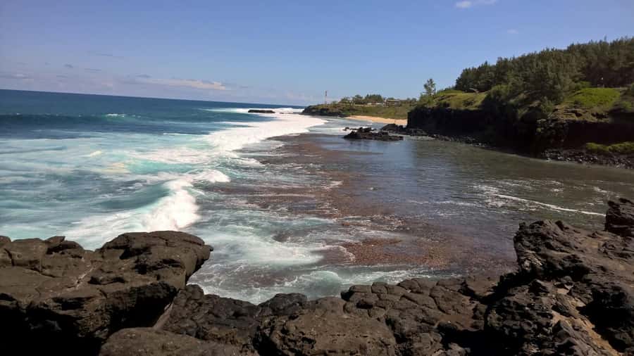 Mauritius: Private South Side and Dolphin Adventure Tour - The dolphin question: special, but not simple