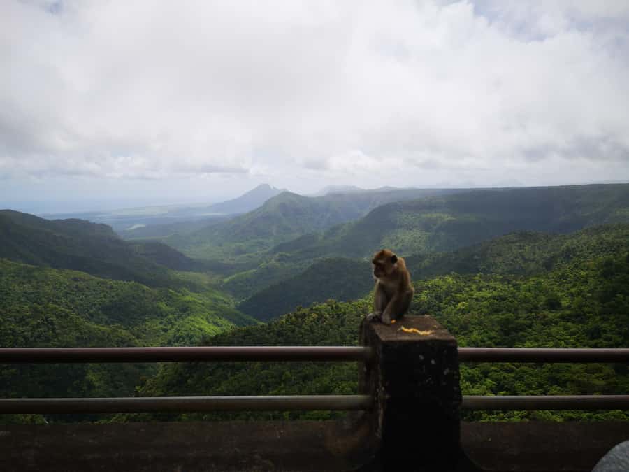 Mauritius: Private South Tour with Pickup - Trou aux Cerfs and the view from an old volcano