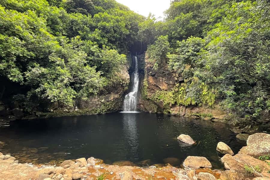 Mauritius: Private South-West Nature & Viewpoints with Lunch - A Mauritian lunch that earns its place