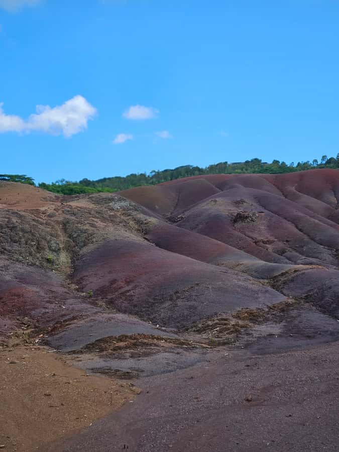 Mauritius: Private Southwest Chamarel Highlights Tour - Black River Gorge and the island’s wildlife