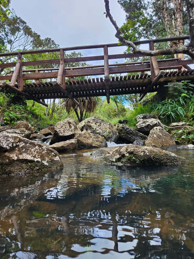 Mauritius: Private Southwest Chamarel Highlights Tour - Chamarel Waterfall and the view toward Le Morne