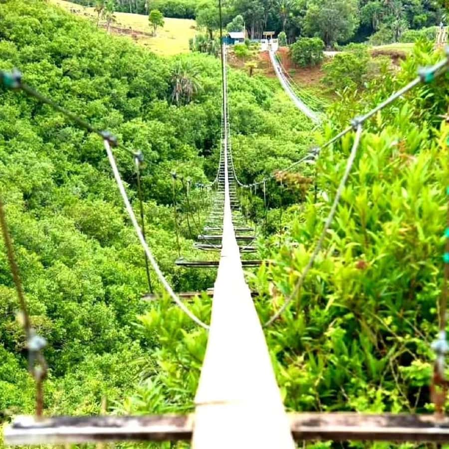 Mauritius: Private Southwest Day Tour - Grand Bassin and the spiritual heart of the island
