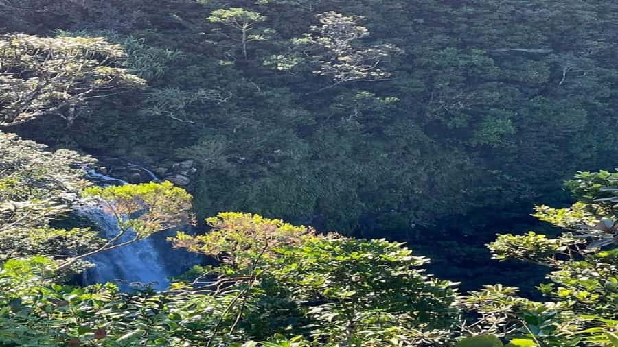 Mauritius: private southwest tour - A useful way to see southwest Mauritius