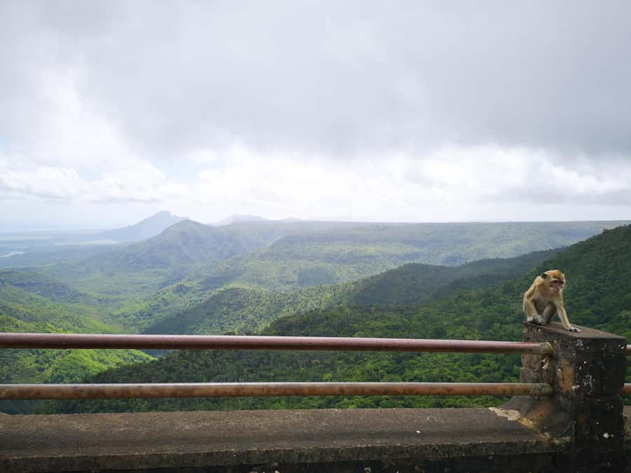 Mauritius: Private Southwest Tour with Pickup - Ganga Talao: a sacred lake with real cultural weight