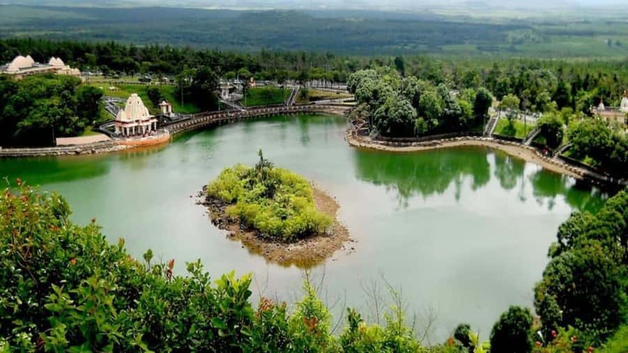 Mauritius : private wild south fullday tour - Bois Cheri, tea fields, and an old factory
