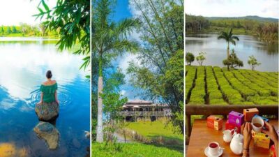 private wild south fullday tour