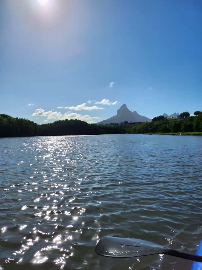 Mauritius: River Guided Kayak Tour with Monkeys - Paddling the river for roughly two hours