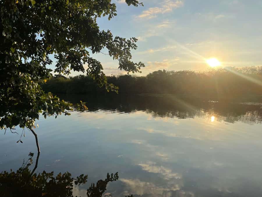 Mauritius: River Guided Kayak Tour with Monkeys - The guide’s stories make the quiet moments count