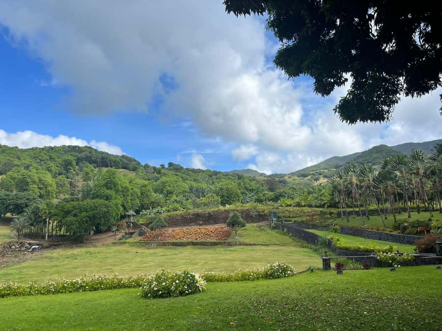 Mauritius: Scenic Bike Trails with Gear & Shuttle - The 4x4 ride to the top