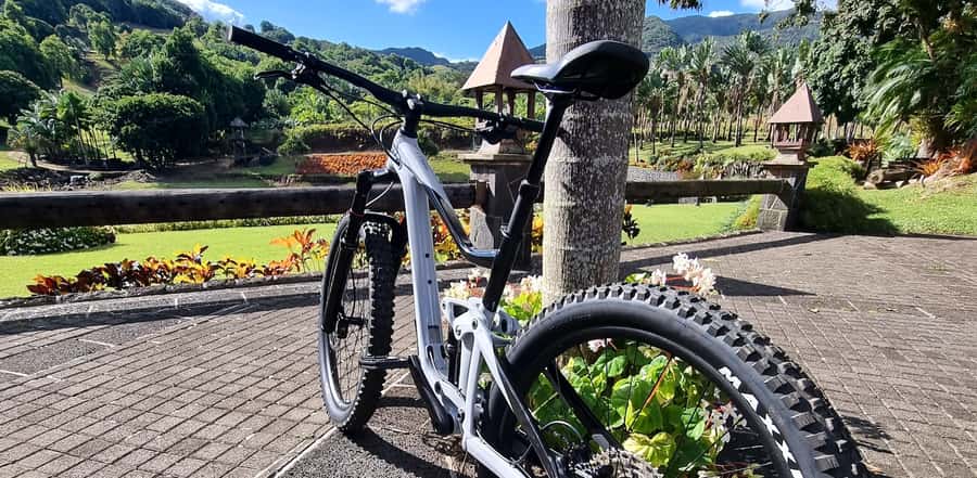 Mauritius: Scenic Bike Trails with Gear & Shuttle - Practical details that matter