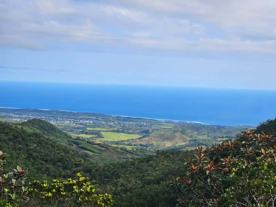 Mauritius: Sights of the South Private Tour with Rum Tasting - Chamarel Village and the road into the hills