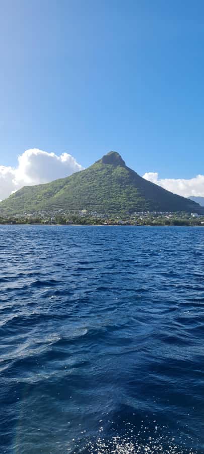 Mauritius: Snorkel and Swim with Dolphins on Speedboat Tour - The swim itself requires real effort