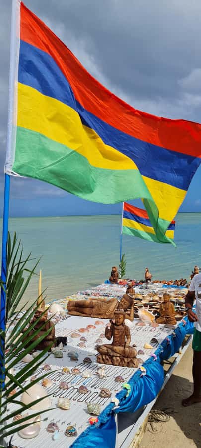 Mauritius: Snorkel and Swim with Dolphins on Speedboat Tour - What the $49 price really covers