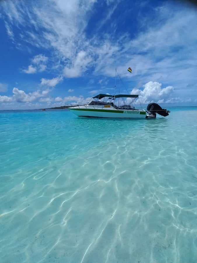 Mauritius: Snorkeling with turtles Le Transporteur speedboat - Key points to know before booking