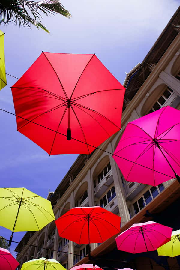 Mauritius: Snorkeling with Turtles & Port Louis Street Food - Key points to know before booking