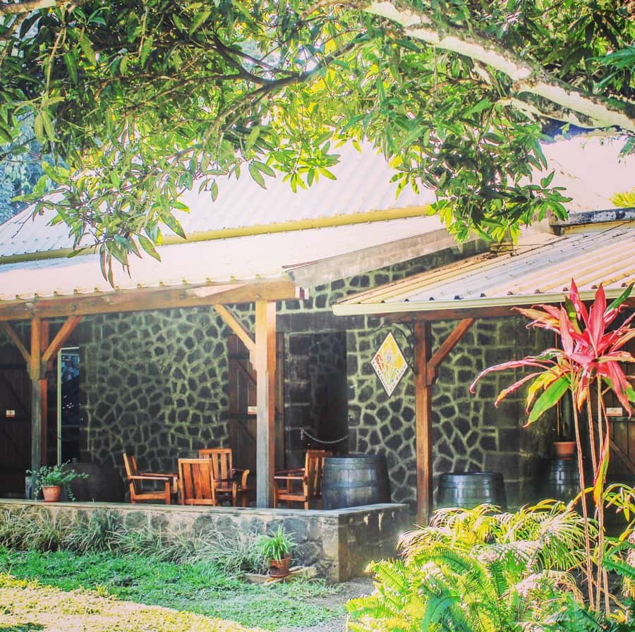 Mauritius: South of the Island Private Full-Day Tour - Alexandra Falls and the high-country views