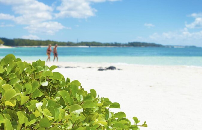 Mauritius South Tour Including Blue Bay Glass Bottom Boat & Snorkelling - Key points to know before booking