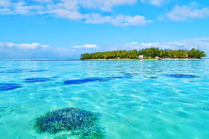 Mauritius South Tour Including Blue Bay Glass Bottom Boat & Snorkelling - La Vanille turns the afternoon toward animals