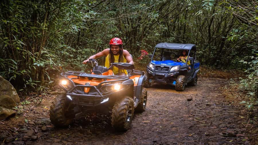 Mauritius: Southern Tour w/La Vanille & Le Morne Beach - Vallée des Couleurs for paid adventure activities