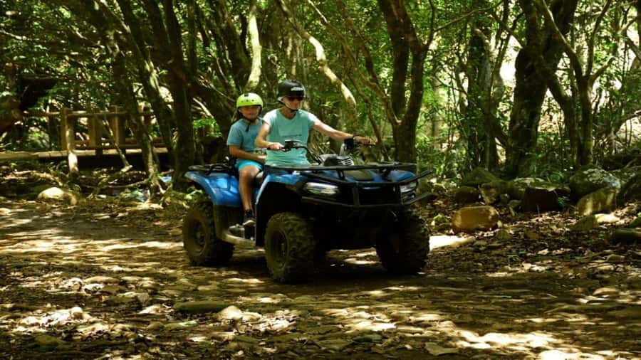 Mauritius: Southern Tour w/La Vanille & Le Morne Beach - Le Morne Beach and the final swim